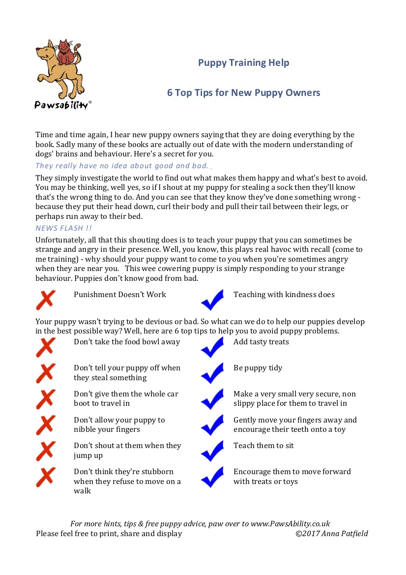 6TopTipsForPuppyOwners